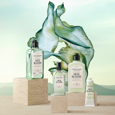 Herbae par L'OCCITANE Beauty Milk | L'Occitane